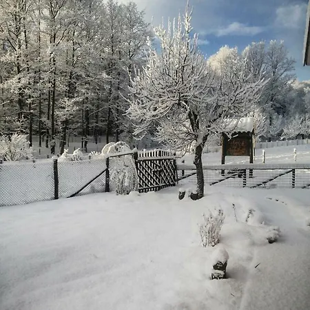 La Degli Elfi Bed & Breakfast *