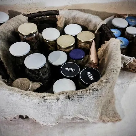 La Degli Elfi Bed & Breakfast *