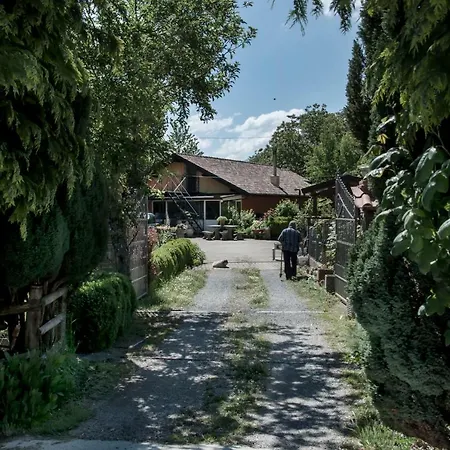 La Degli Elfi Bed & Breakfast Viggianello