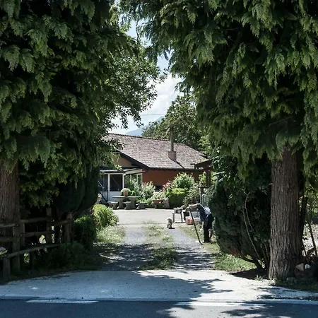 La Degli Elfi * 비자넬로