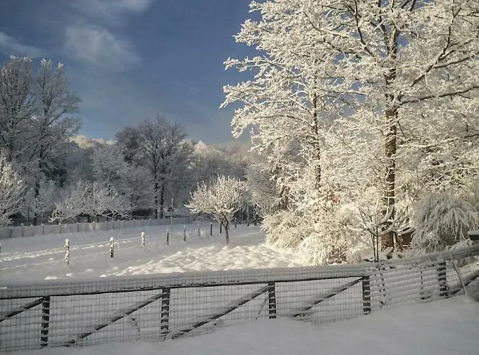 La Degli Elfi ベッド・アンド・ブレックファスト