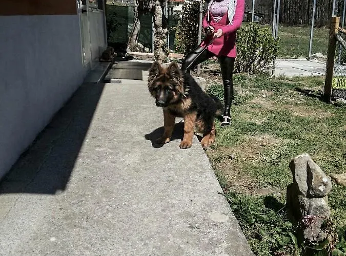 La Degli Elfi ヴィッジャネッロ