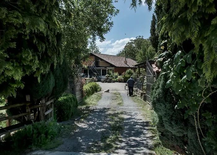 La Degli Elfi ベッド・アンド・ブレックファスト ヴィッジャネッロ