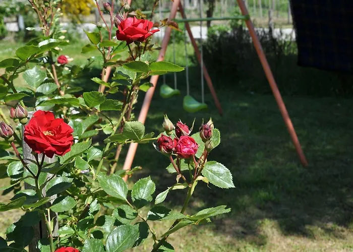 Bed & Breakfast La Degli Elfi *