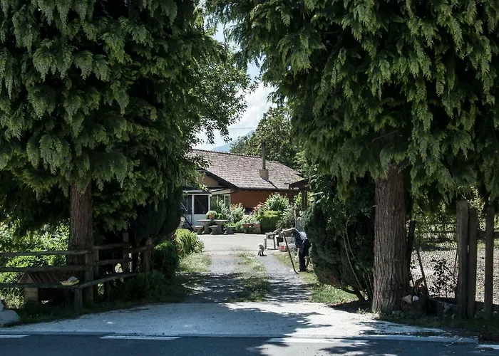 La Degli Elfi * Viggianello